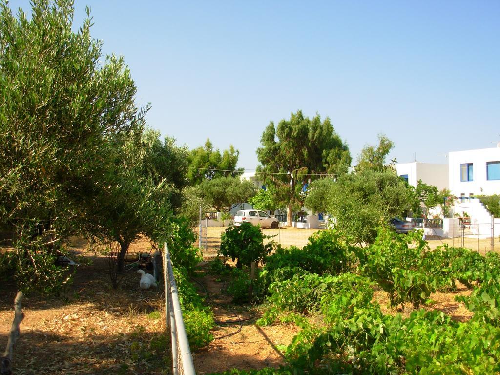 Horizon View Studios Αμμοοπή Εξωτερικό φωτογραφία